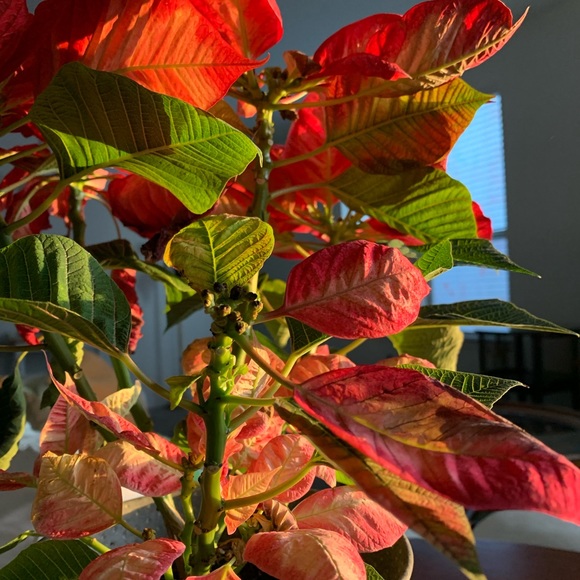 Meet Robert. Artist. Writer. Nurse. Graphics Designer. Love Philosophy & Travel. - Picture 8 of 16